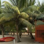 A Abidjan, des dizaines de milliers de vies bouleversées au nom du « développement »