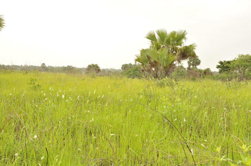 les 3 tours jumelles abidjan