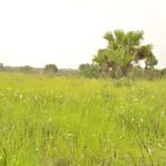 Travaux de l’autoroute Abidjan-Lagos validés à la fin de novembre