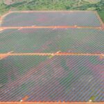 VIDEO &ndash; Mobilit&eacute; interurbaine : la r&eacute;habilitation de la C&ocirc;ti&egrave;re am&eacute;liore la liaison Abidjan &ndash; San-Pedro